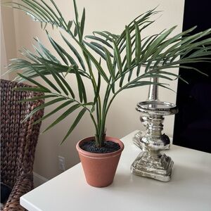 Pottery Barn Small Faux Fish Tail Palm with Terracotta Pot